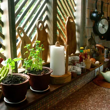 Artist Eco Villa In Ubud Buitenkant foto