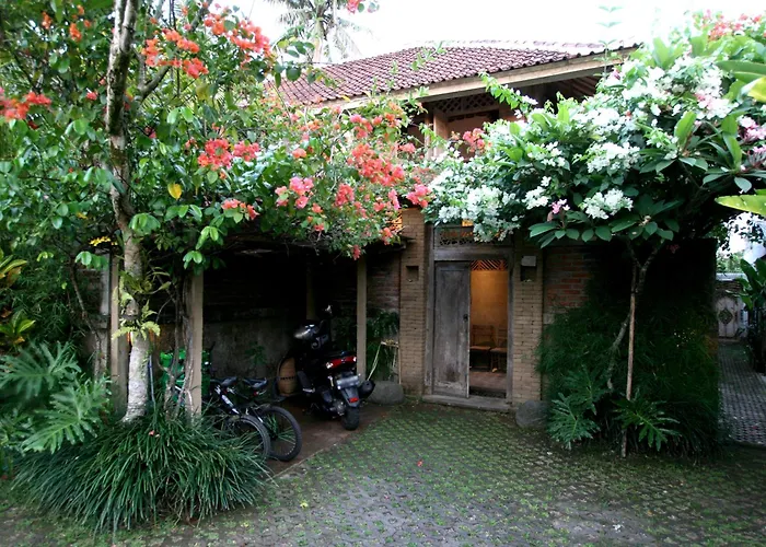 Artist Eco Villa In Ubud Bali